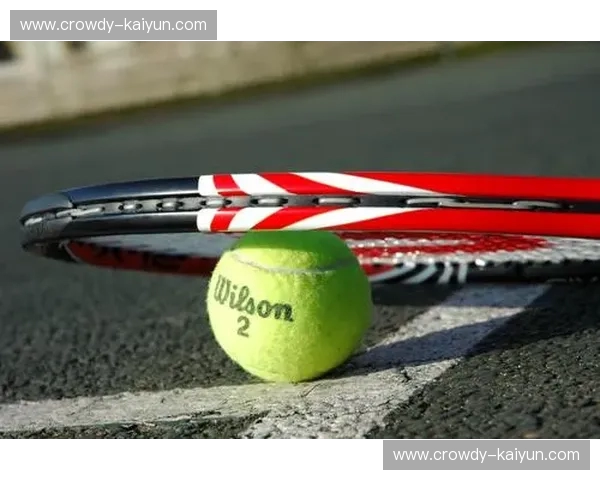 自行车网球拍——把球场带进城市的移动热爱 自行车网球拍——把球场带进城市的移动热爱